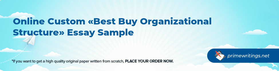 Best Buy Organizational Structure